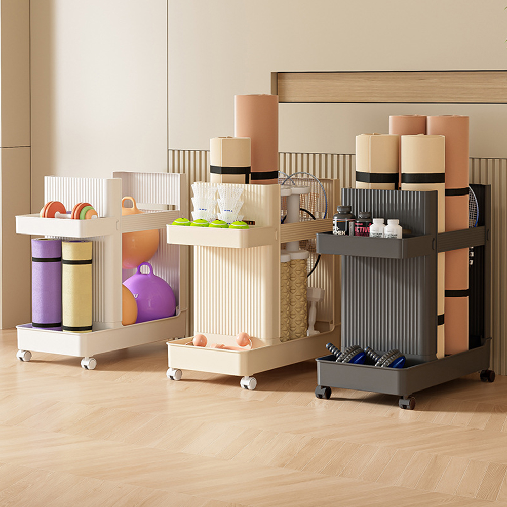 Sports Equipment Storage Rack  - Sports Equipment Trolley 评论和价格