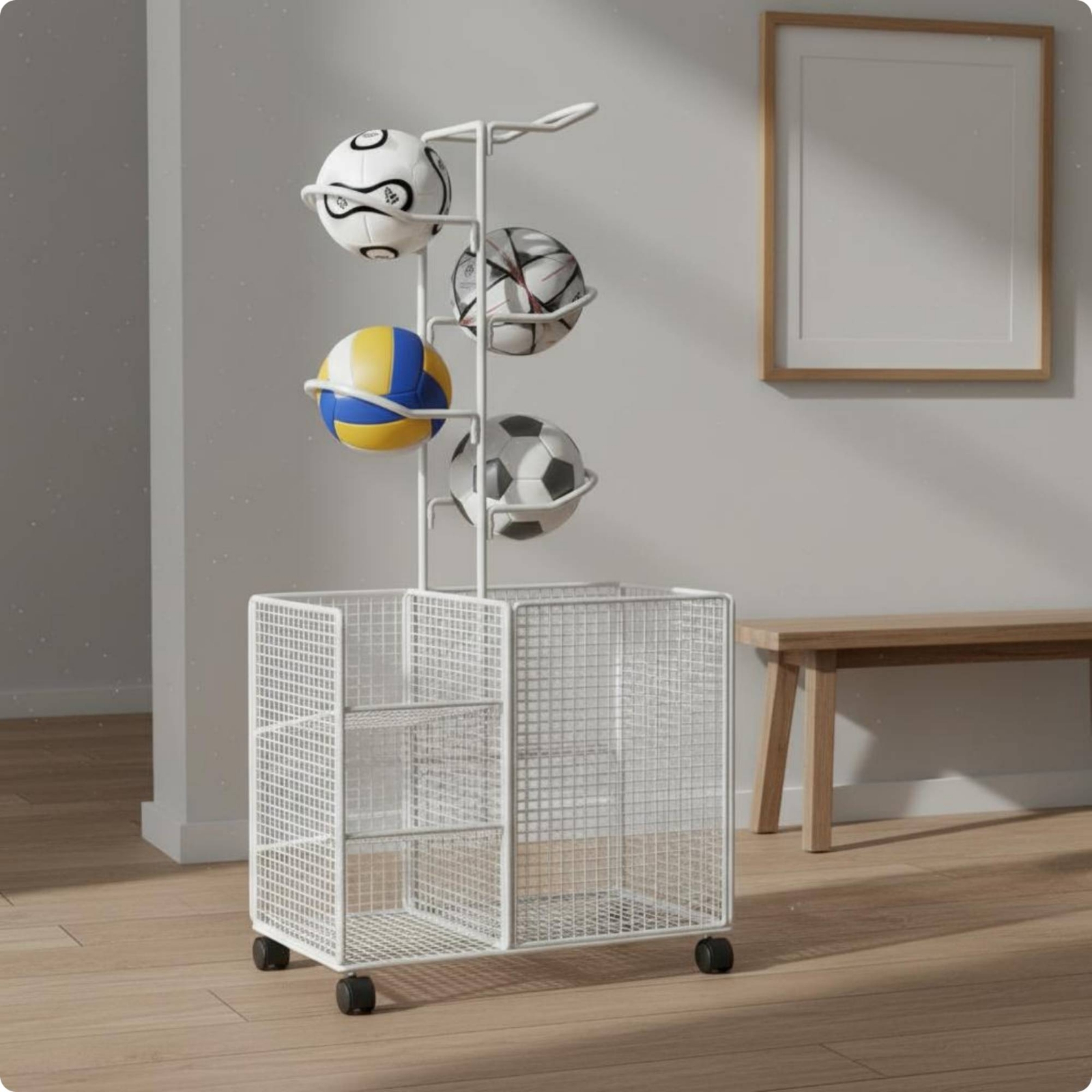 Sports Storage Rack Curved Hol - Sports Equipment Trolley 评论和价格