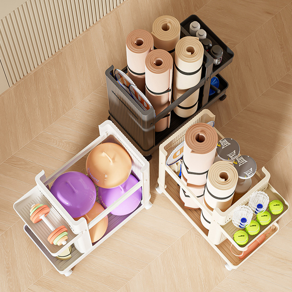 Gym Equipment Organizer Trolle - Sports Equipment Trolley 评论和价格