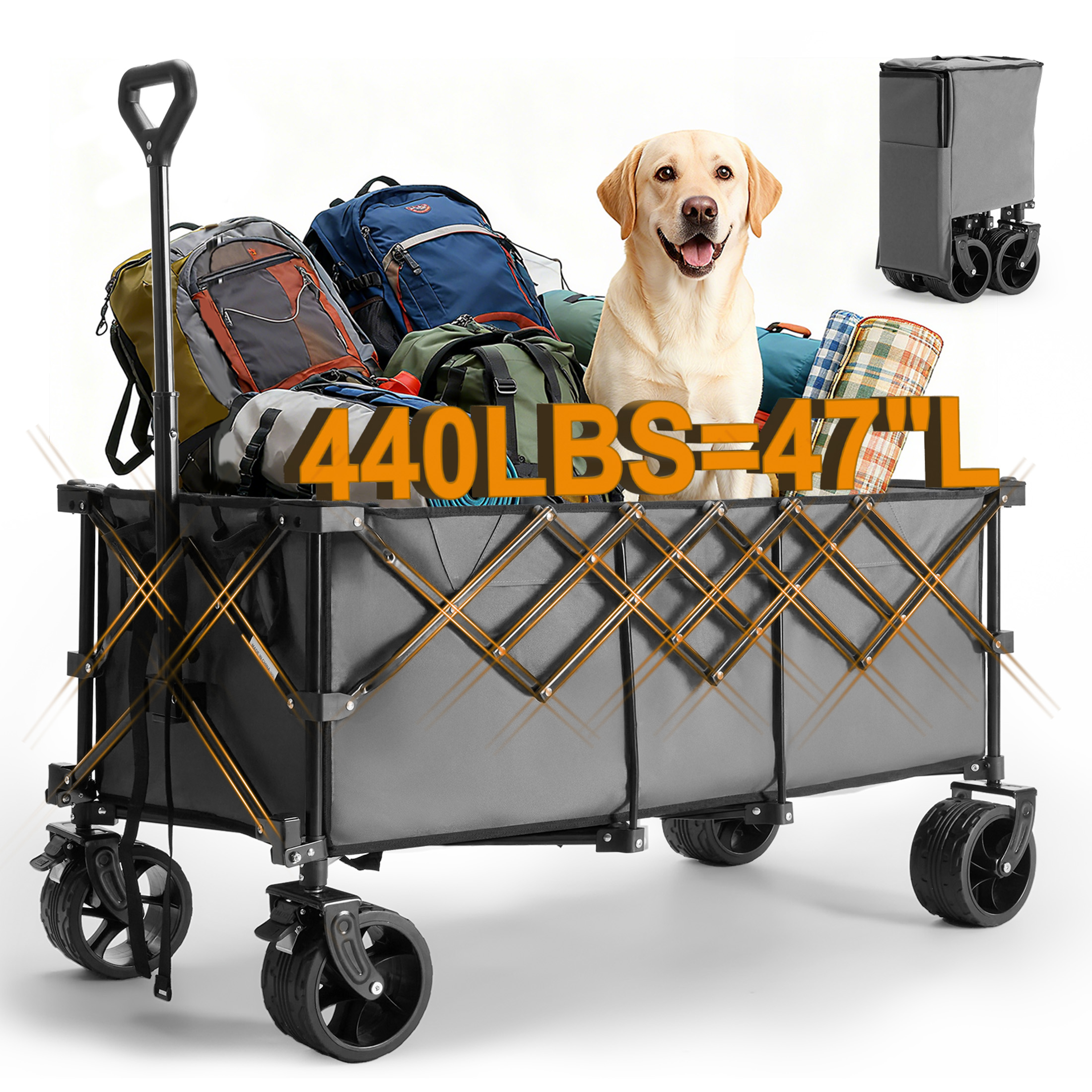 JHK Portable Extended Collapsi - Sports Equipment Trolley 评论和价格