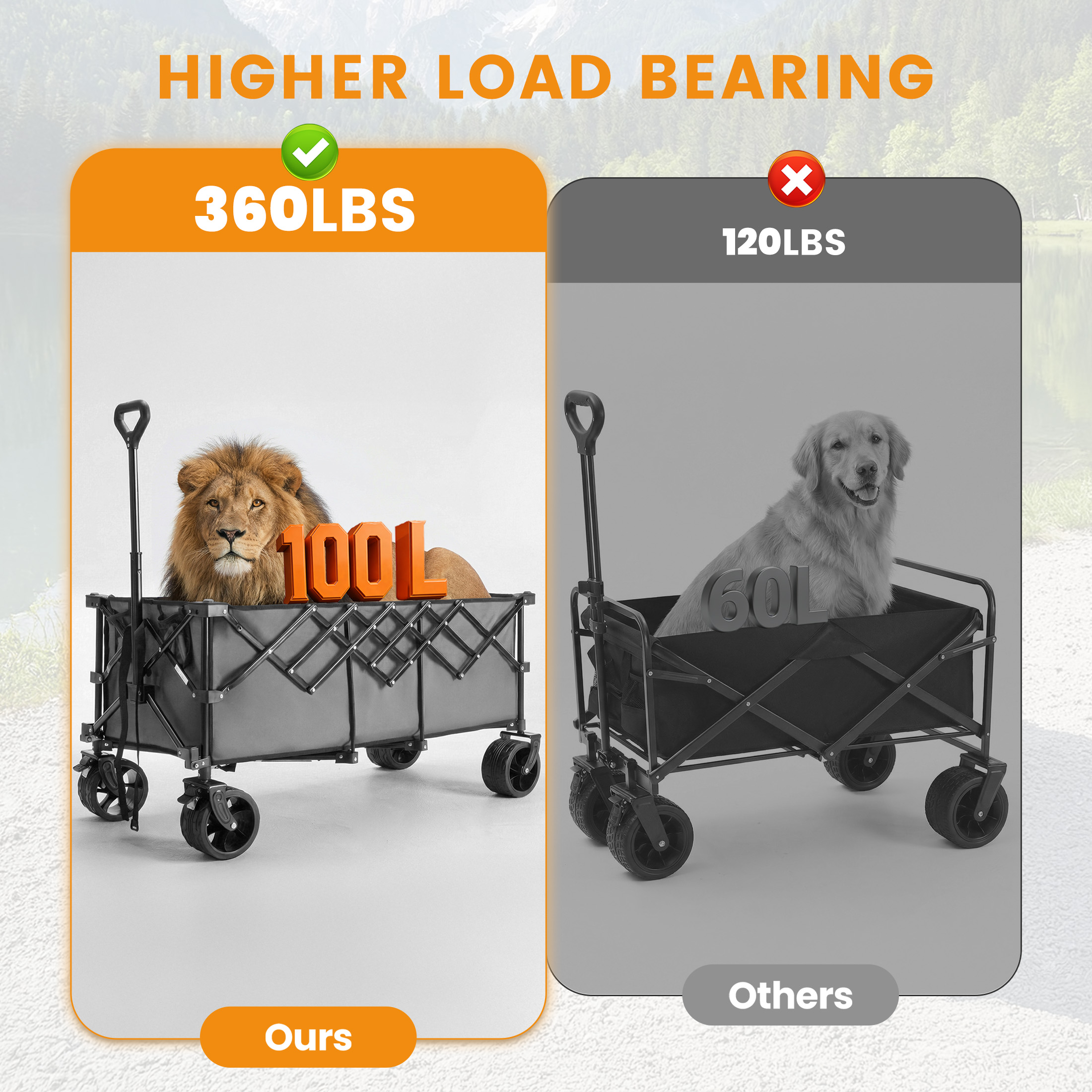 JHK Portable Extended Collapsi - Sports Equipment Trolley 评论和价格